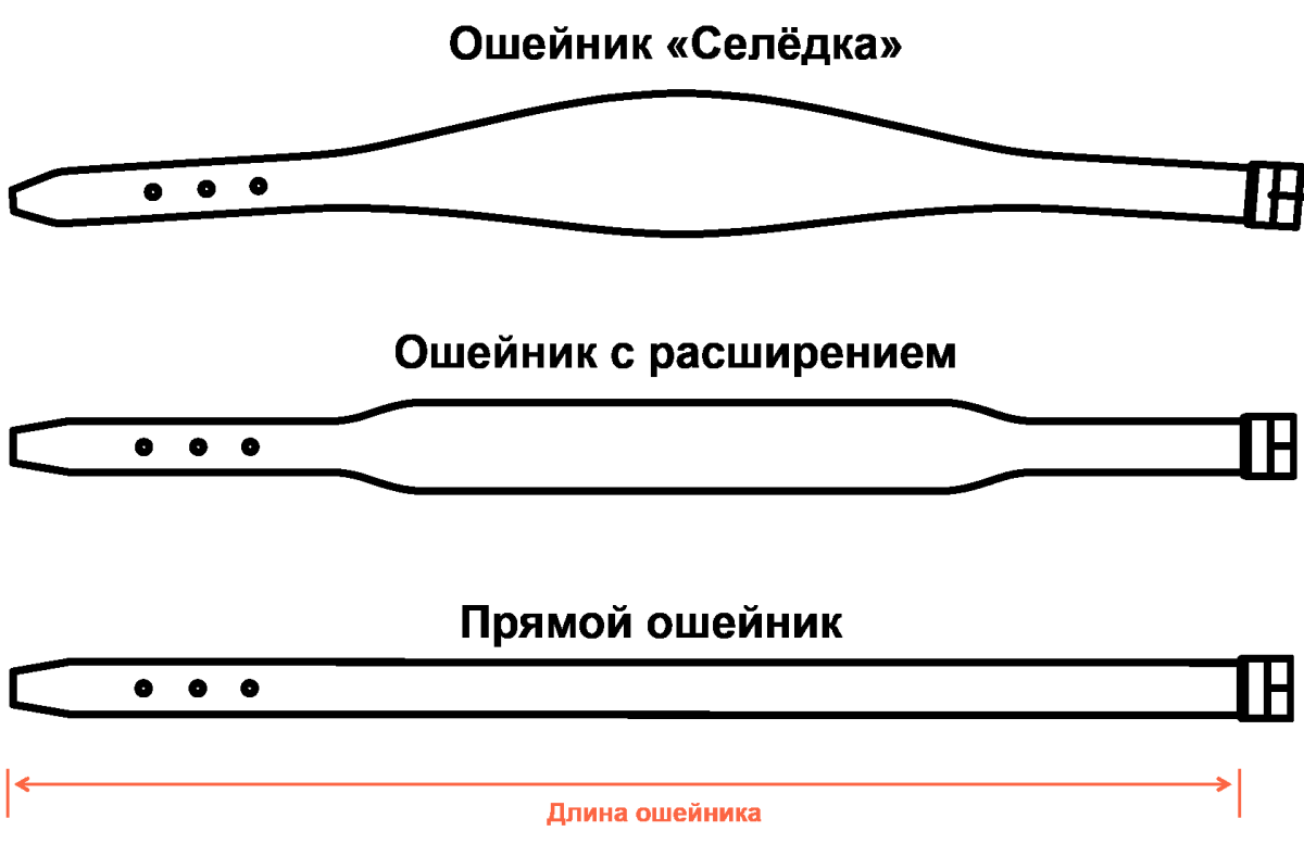 Терновый венец браслет тату