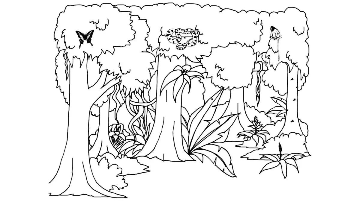 Лес раскраска для детей