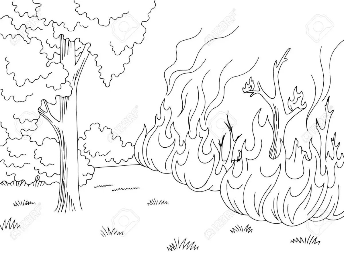 Раскраска мальчик рубит дерева