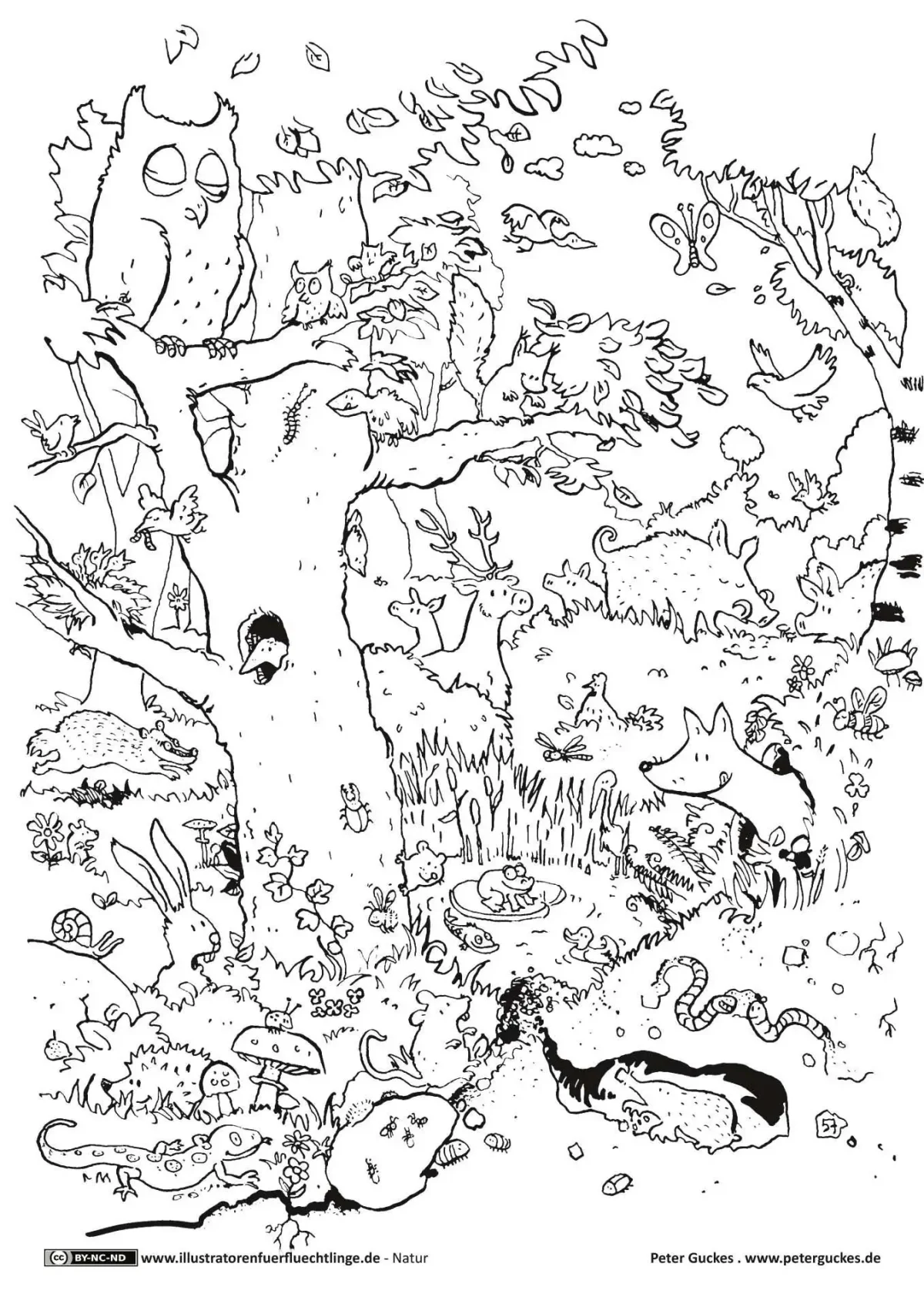 В лесу. Раскраска