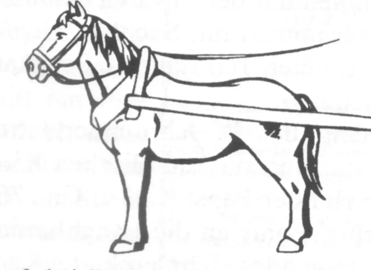 Лошадка в пряжке для раскрашивания