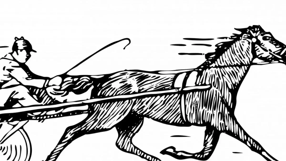 Лошадь на скачках