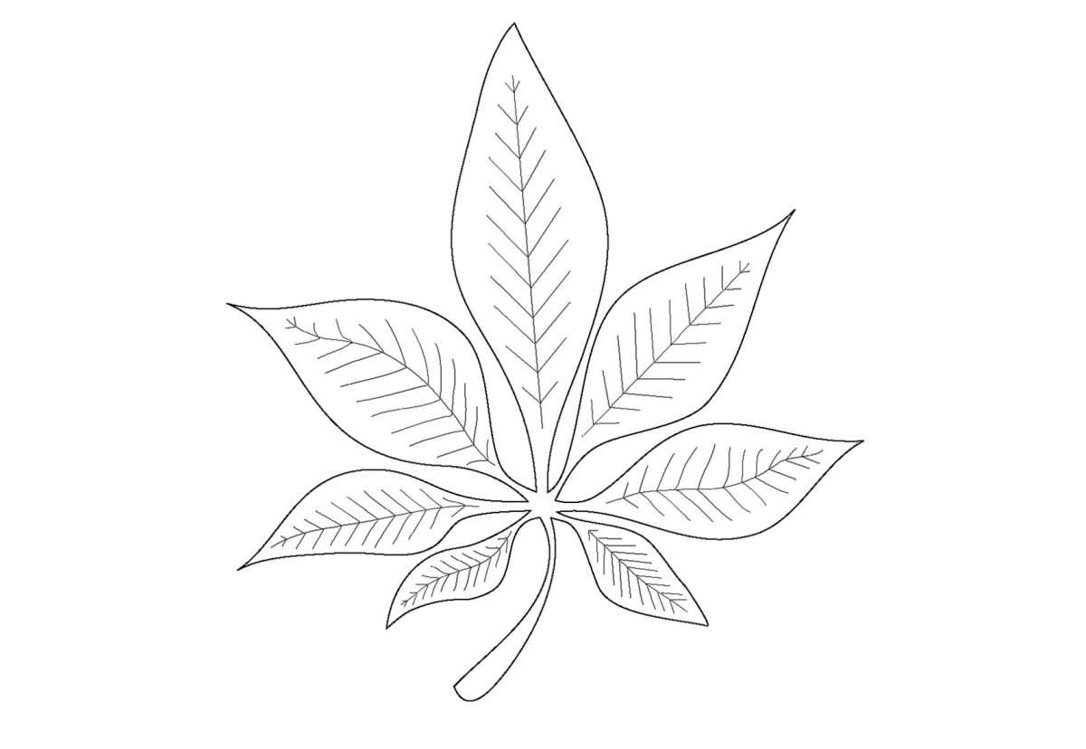 Лист каштана