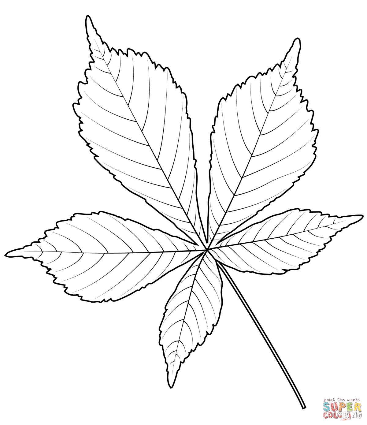 Каштан (плоды)