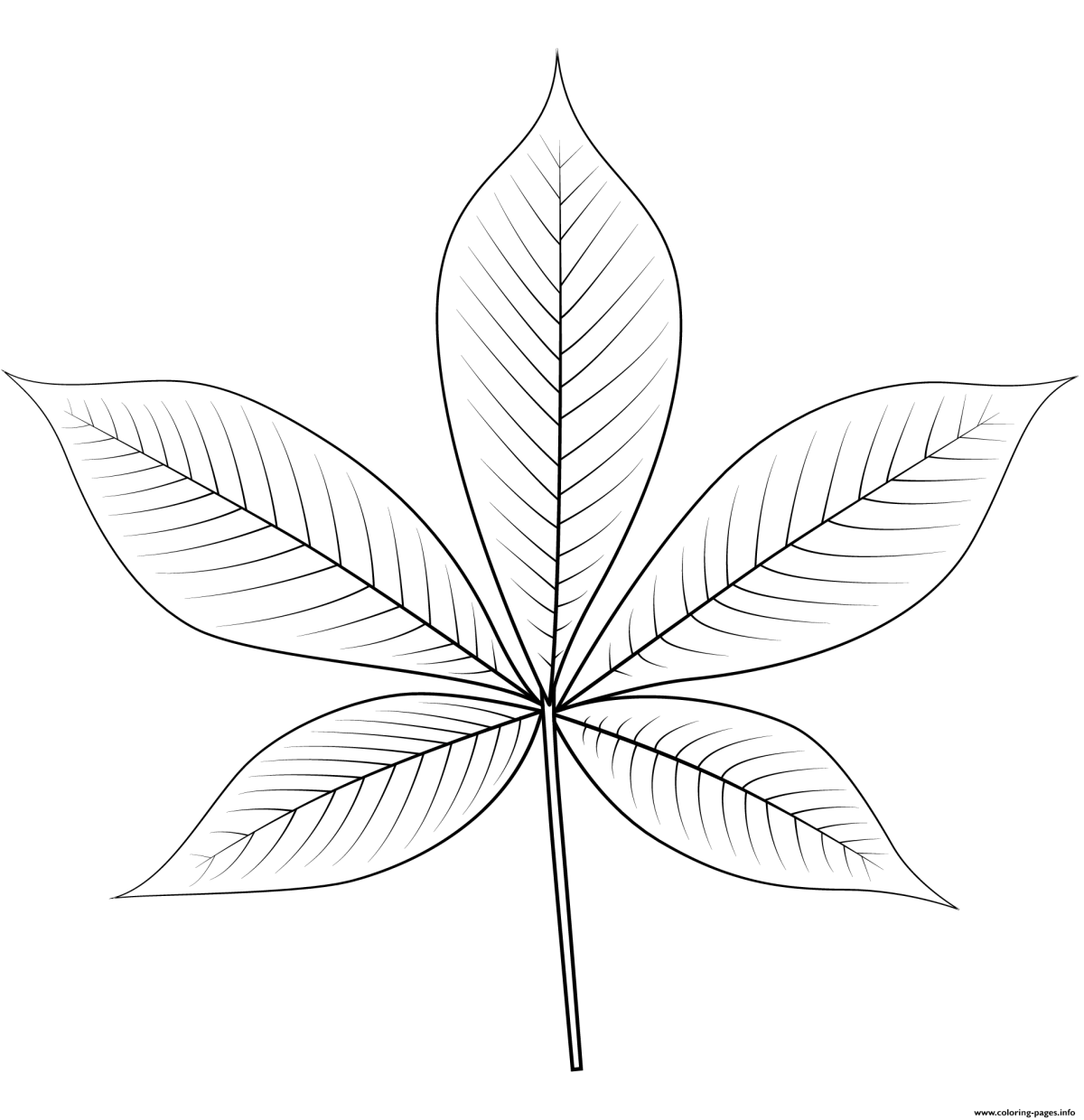 Кешью рисунок