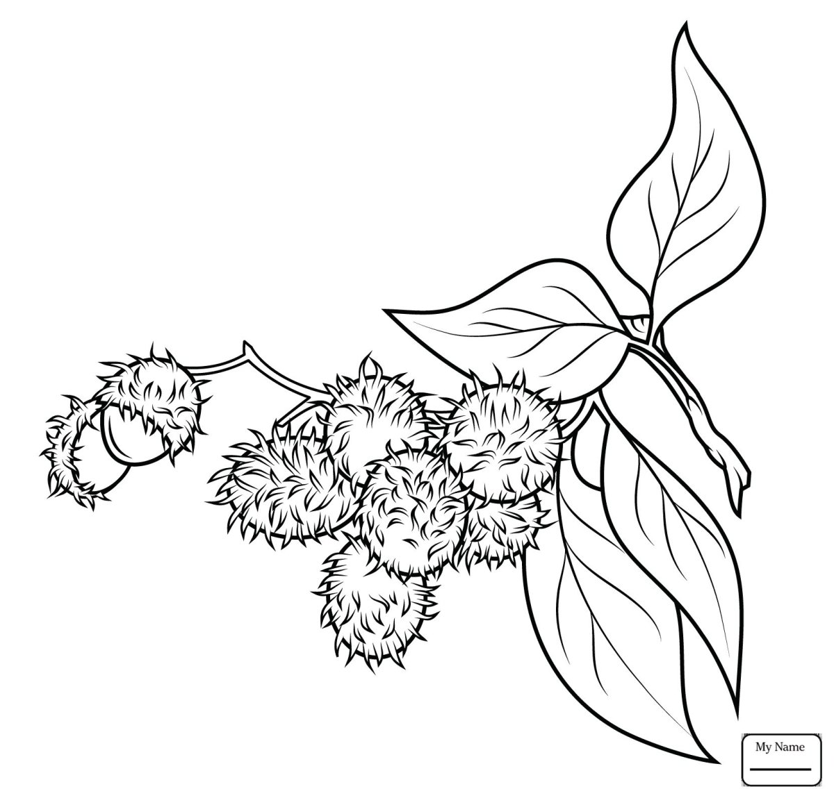 Лист конского каштана рисунок