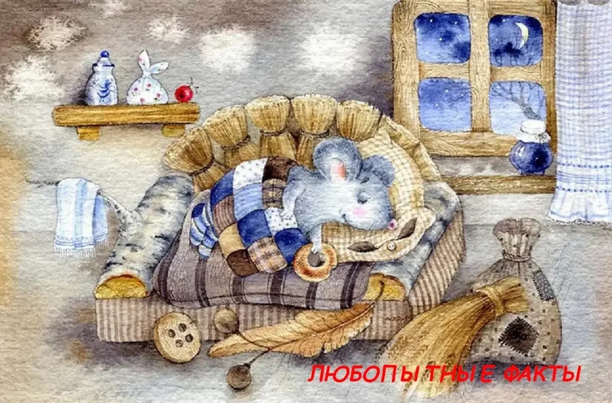 Художник-иллюстратор Мария Рытова