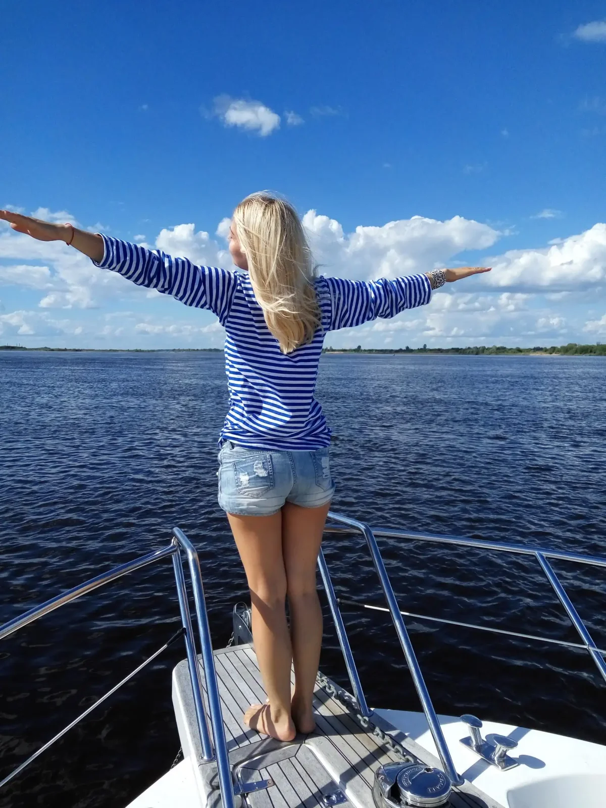 Коты художники Джой Кэмпбелл