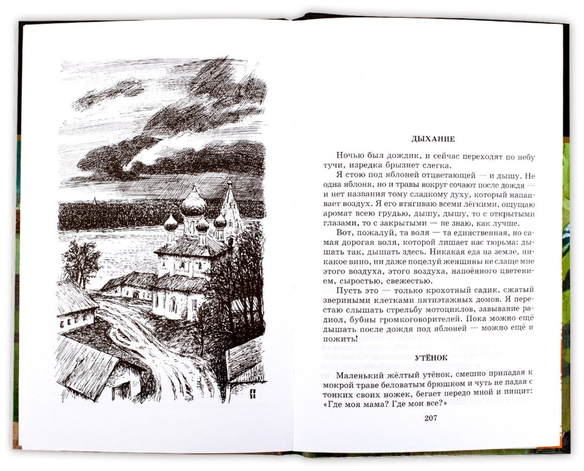 Матрёнин двор иллюстрации к книге