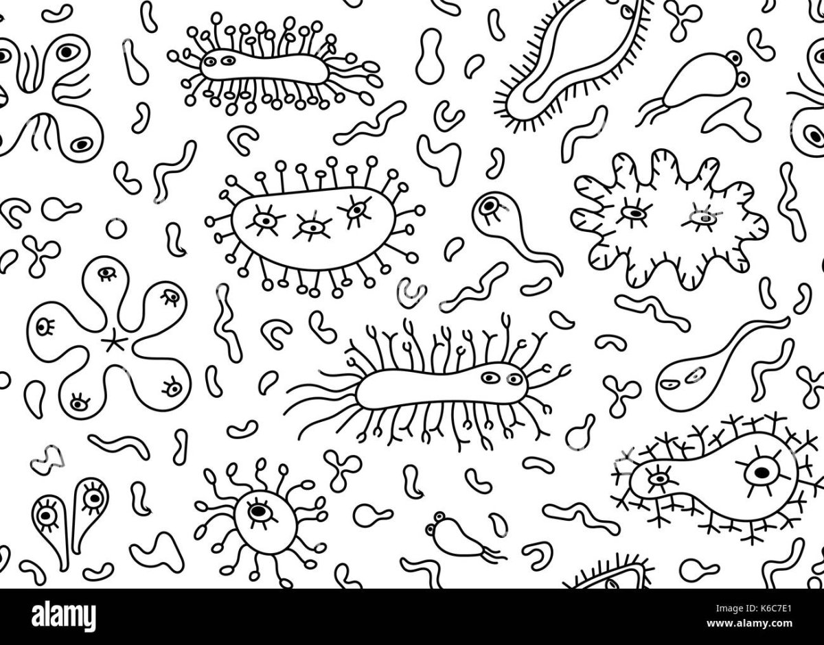 Бактерии раскраска