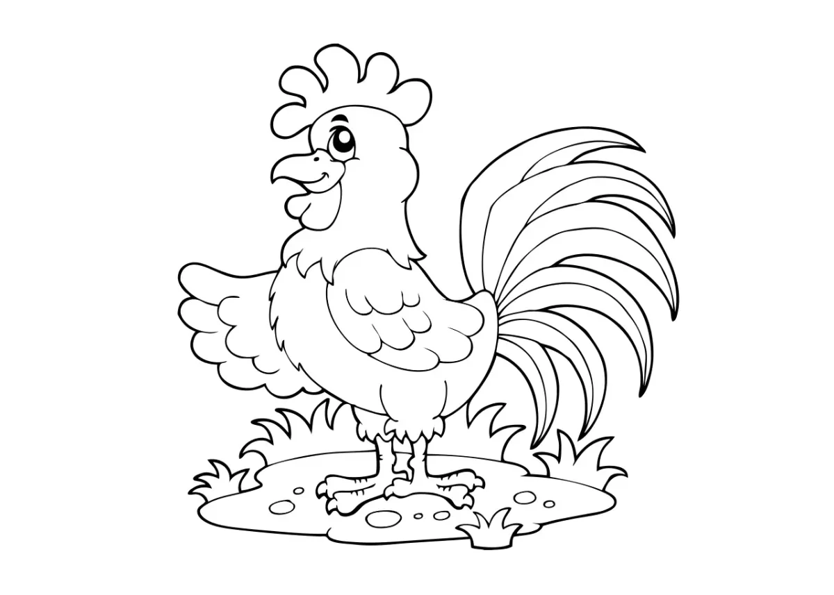 Петушок раскраска для детей