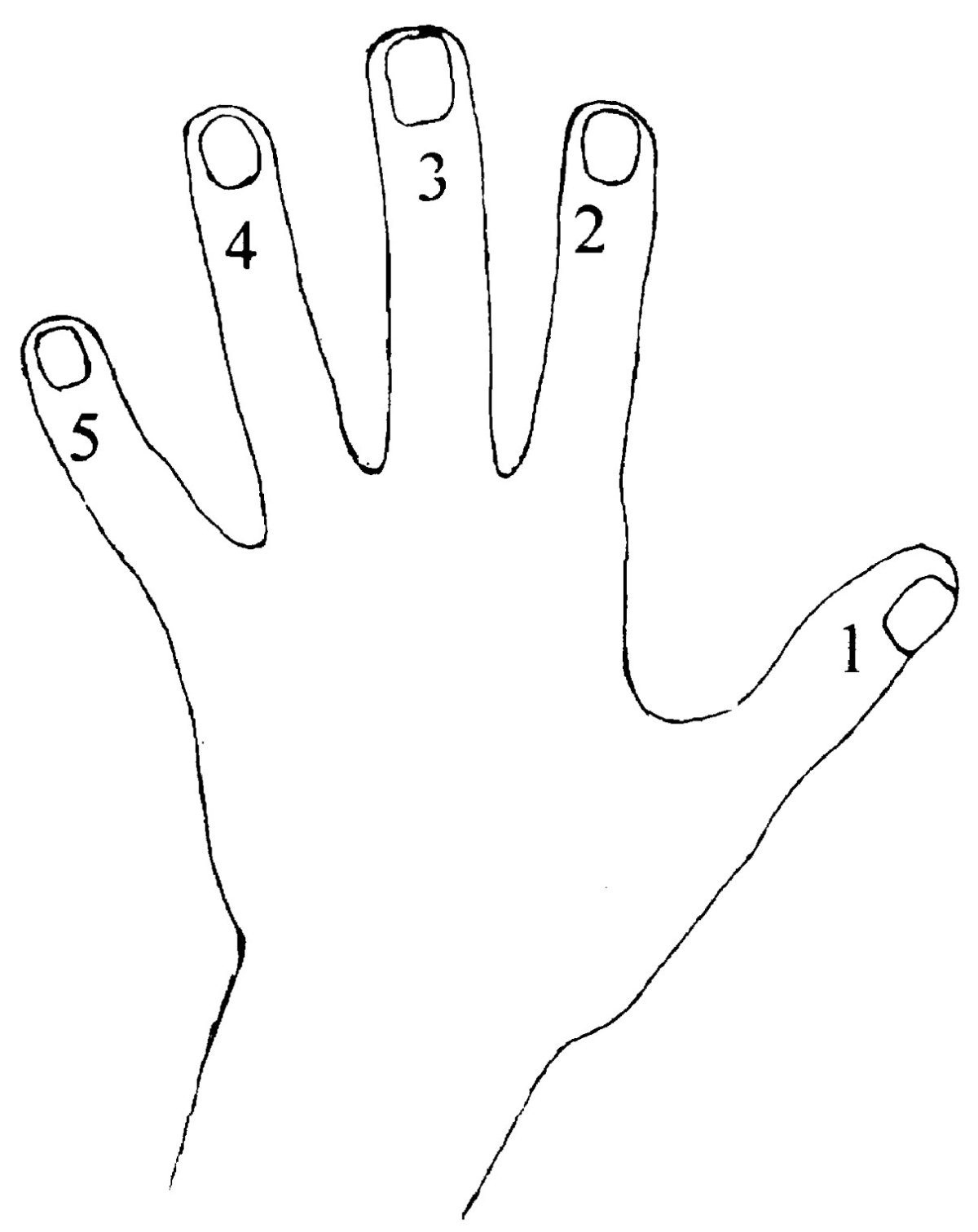 Рука в кулаке