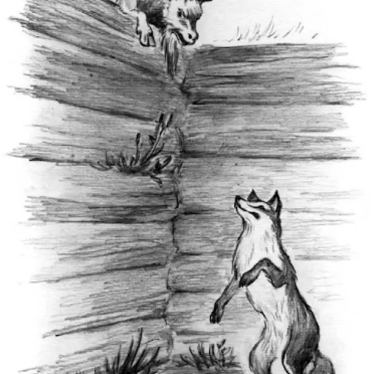 Барсук и Лисенок японская сказка