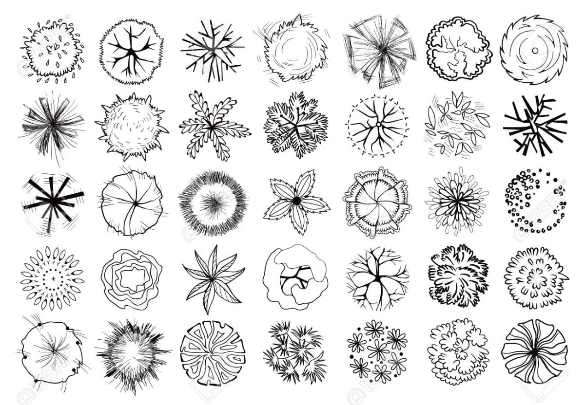 Деревья в графике вид сверху