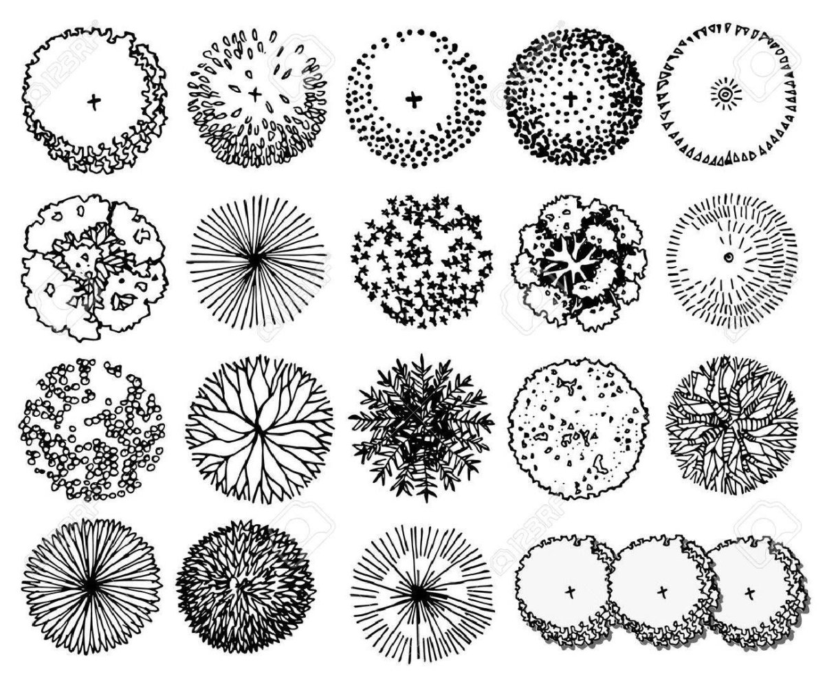 Антураж деревья вид сверху