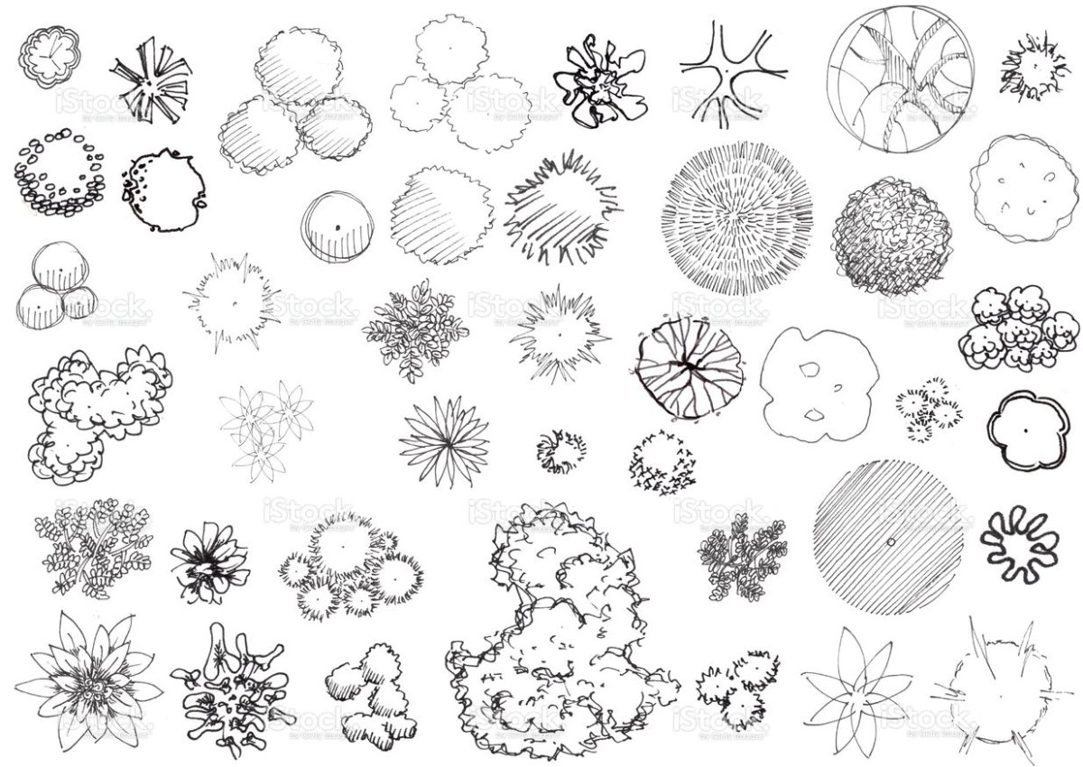 Деревья сверху Графика