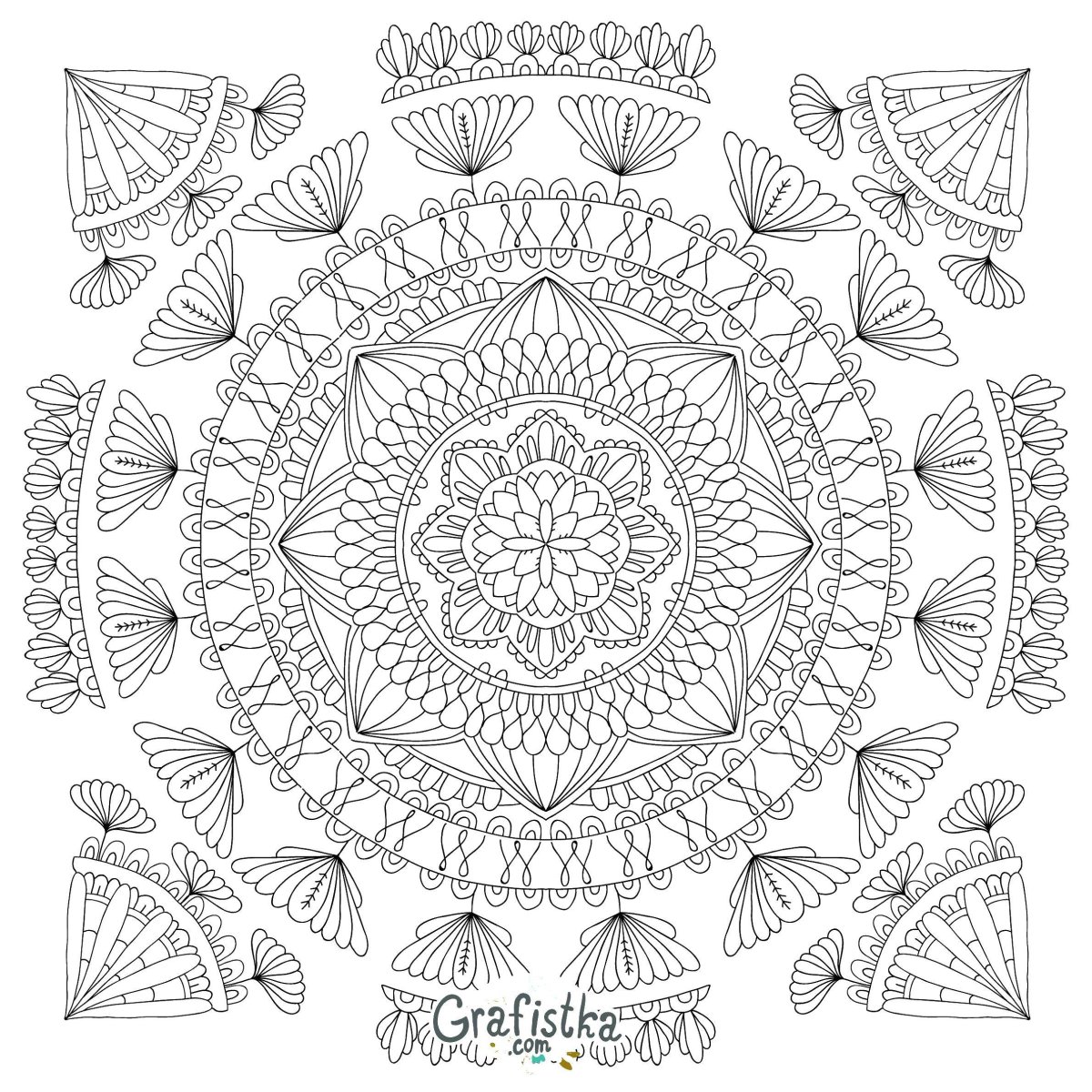 Райская птица раскраска