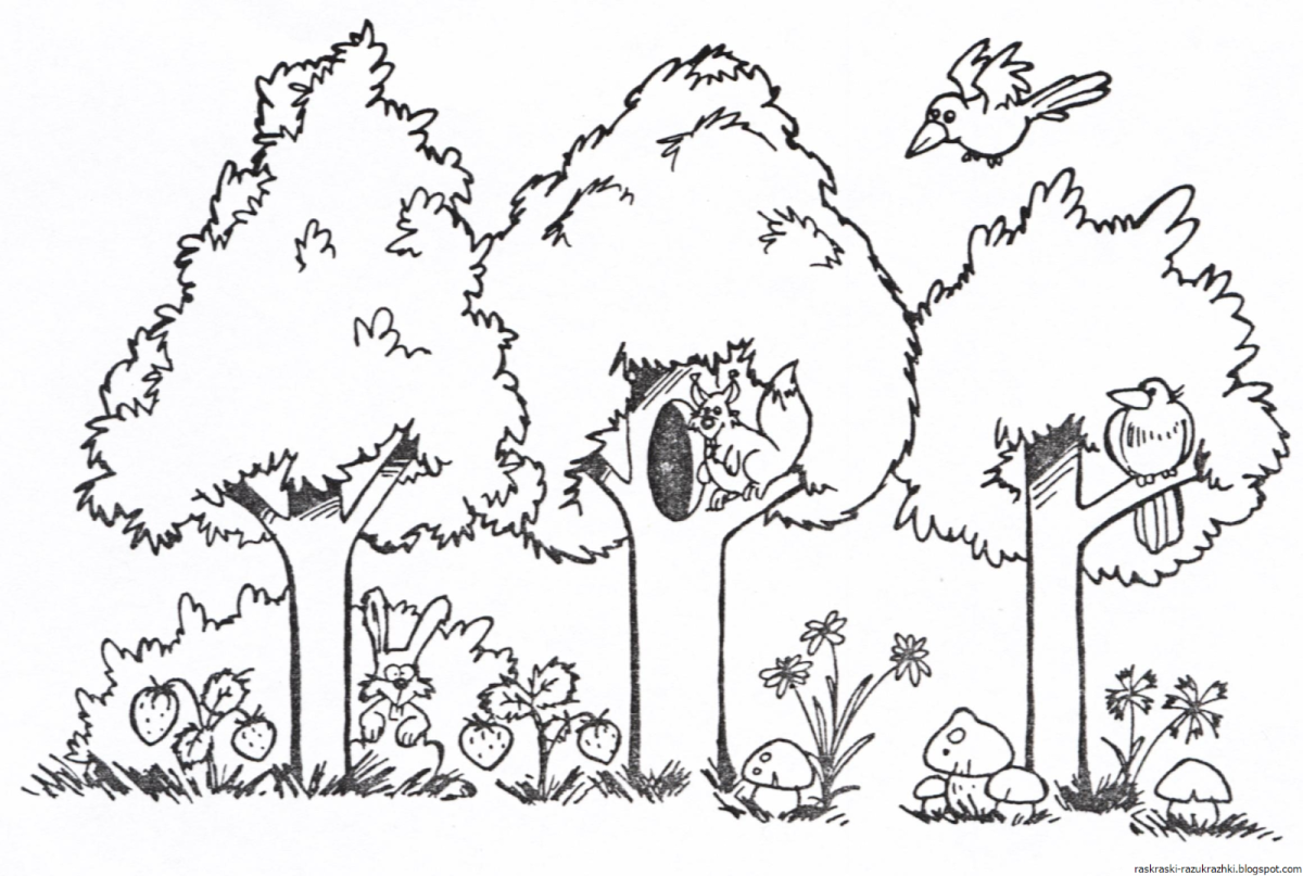 Лес раскраска для детей