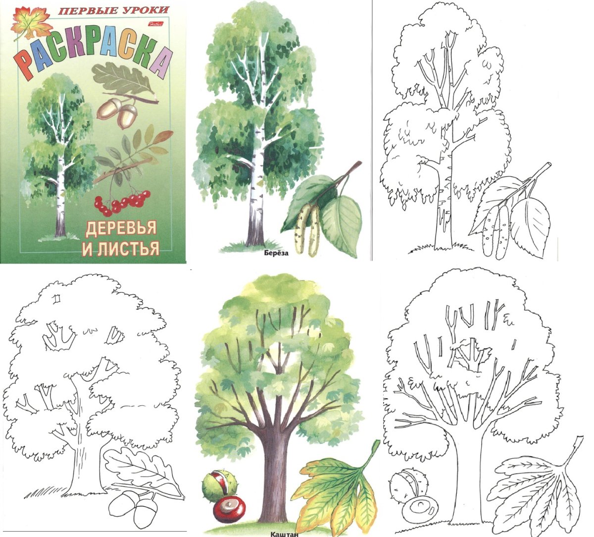 Раскраска тропинка в лесу