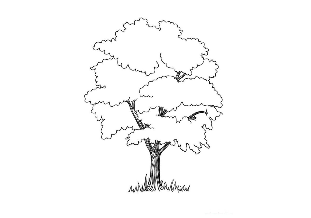 Тропинка карандашом