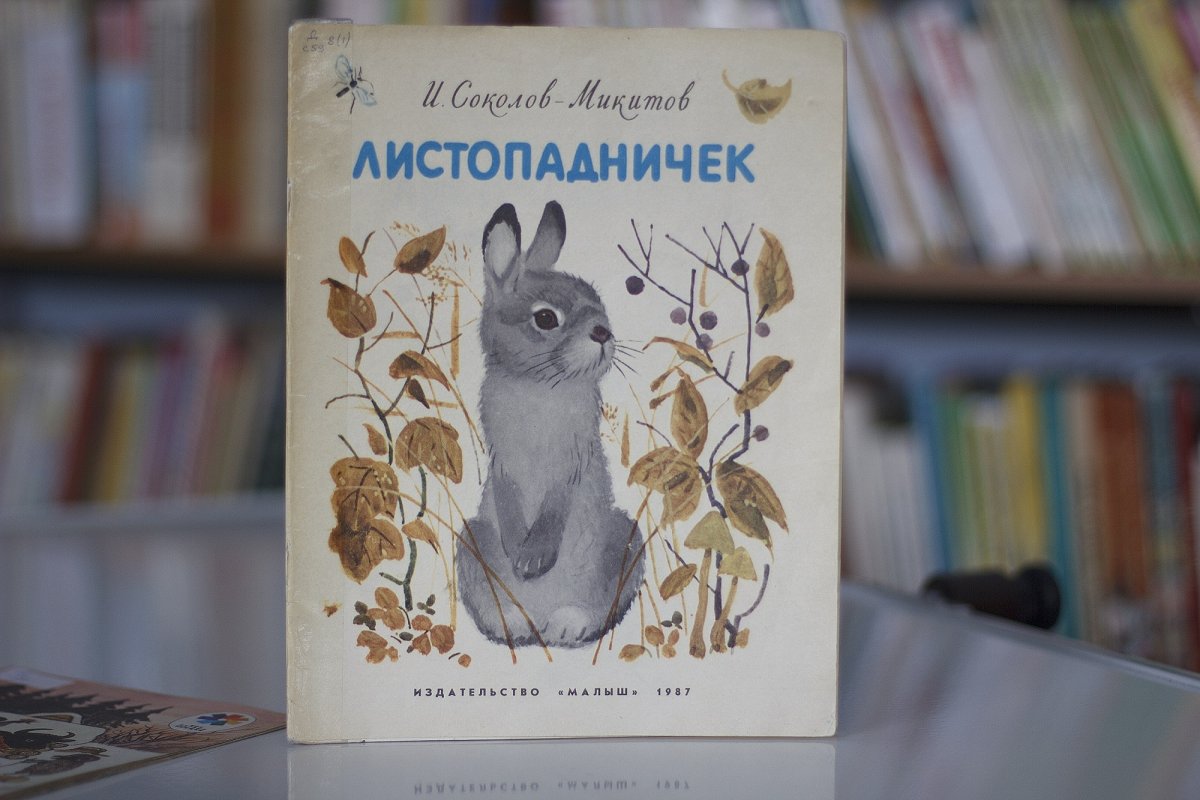 Заяц раскраска для детей