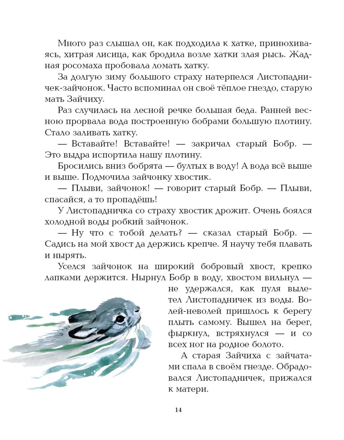 Бобр Графика