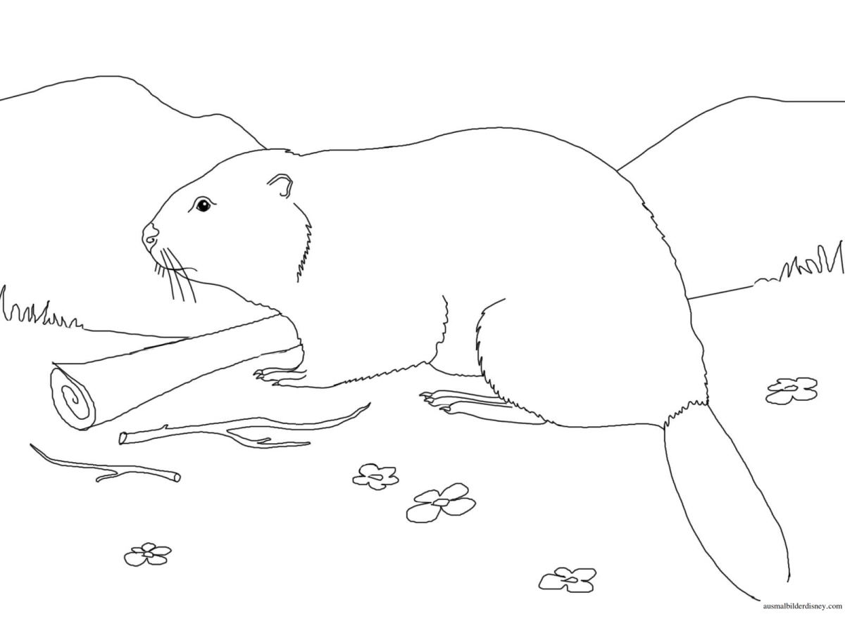 Картина заяц в осеннем лесу