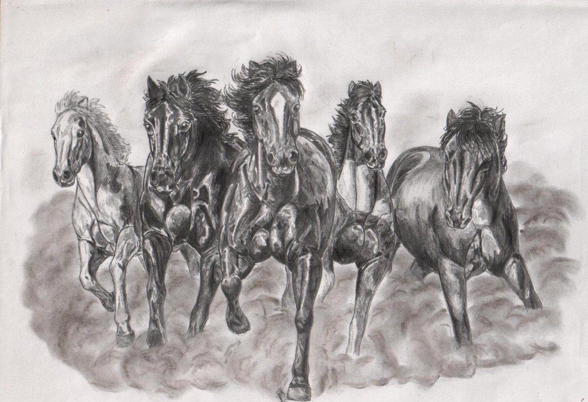 Табун лошадей эскиз