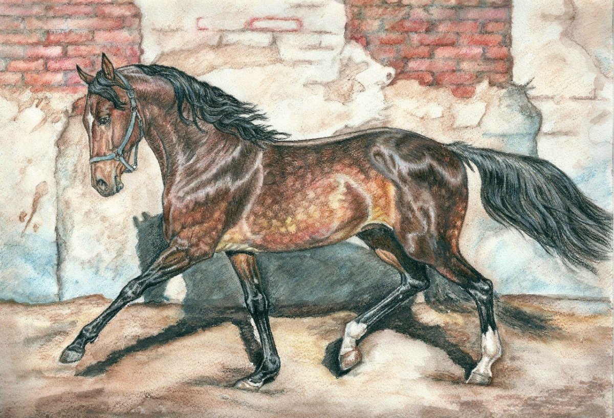 Орловский рысак арт