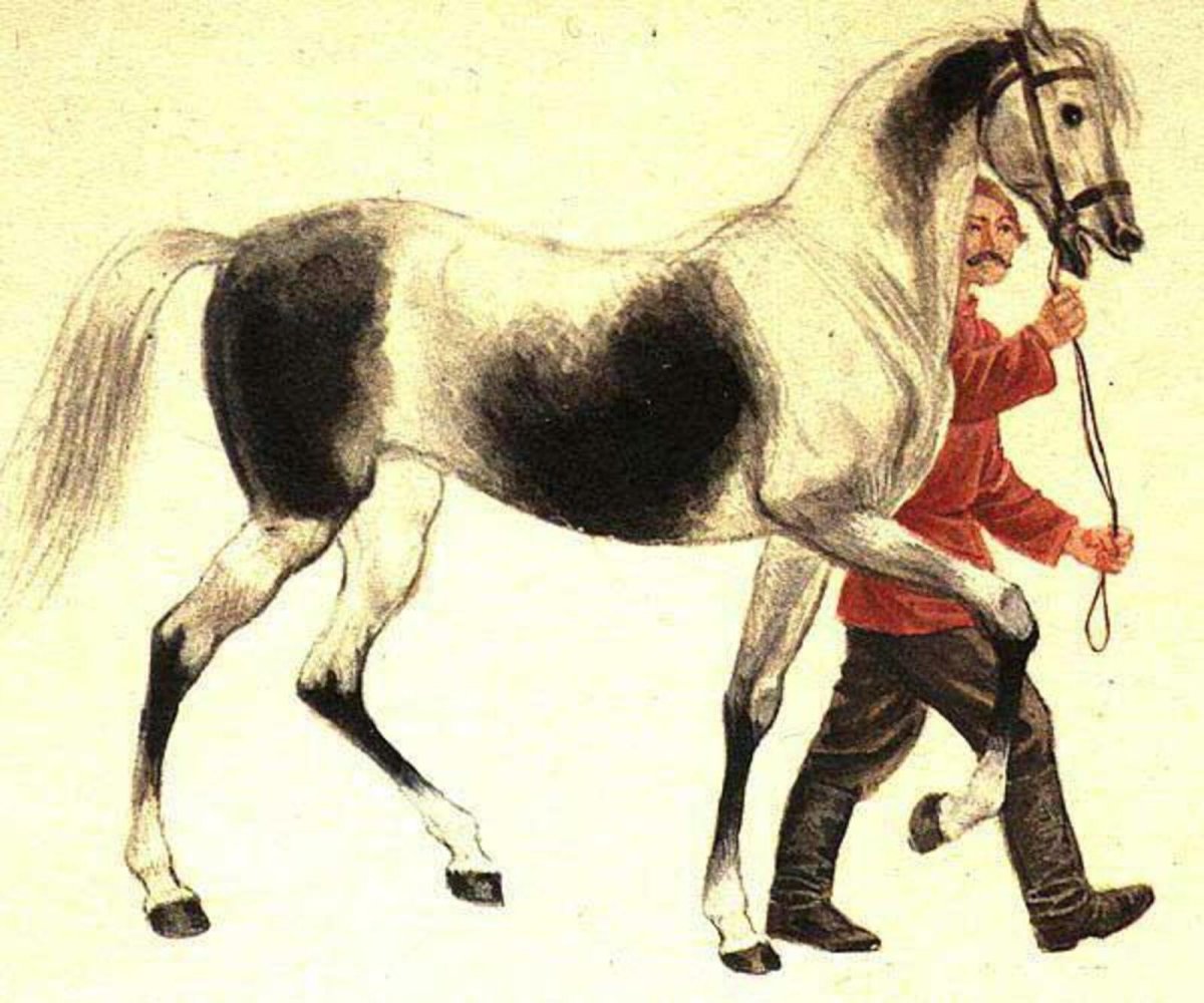 Пегий рысак Холстомер