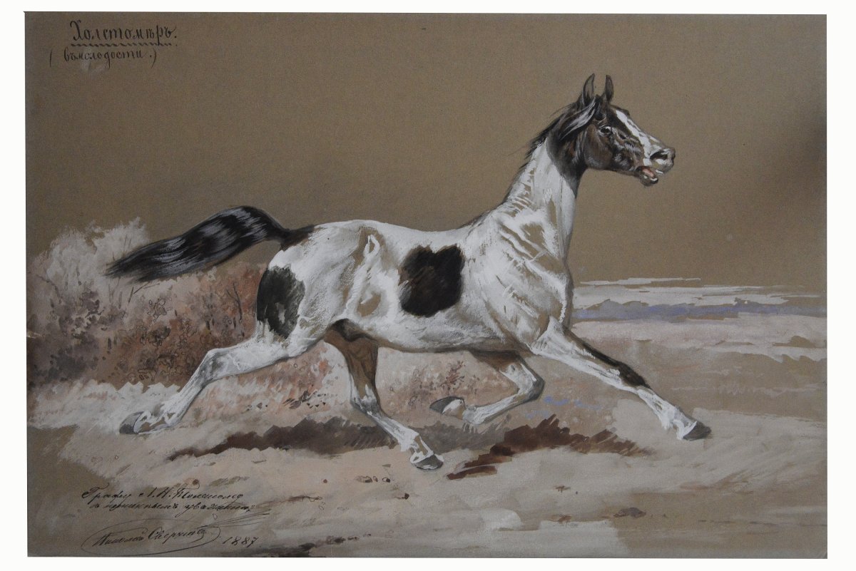 Николай сверчков Холстомер