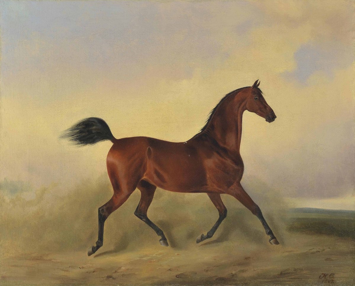 Сверчков Николай Егорович картины лошадей