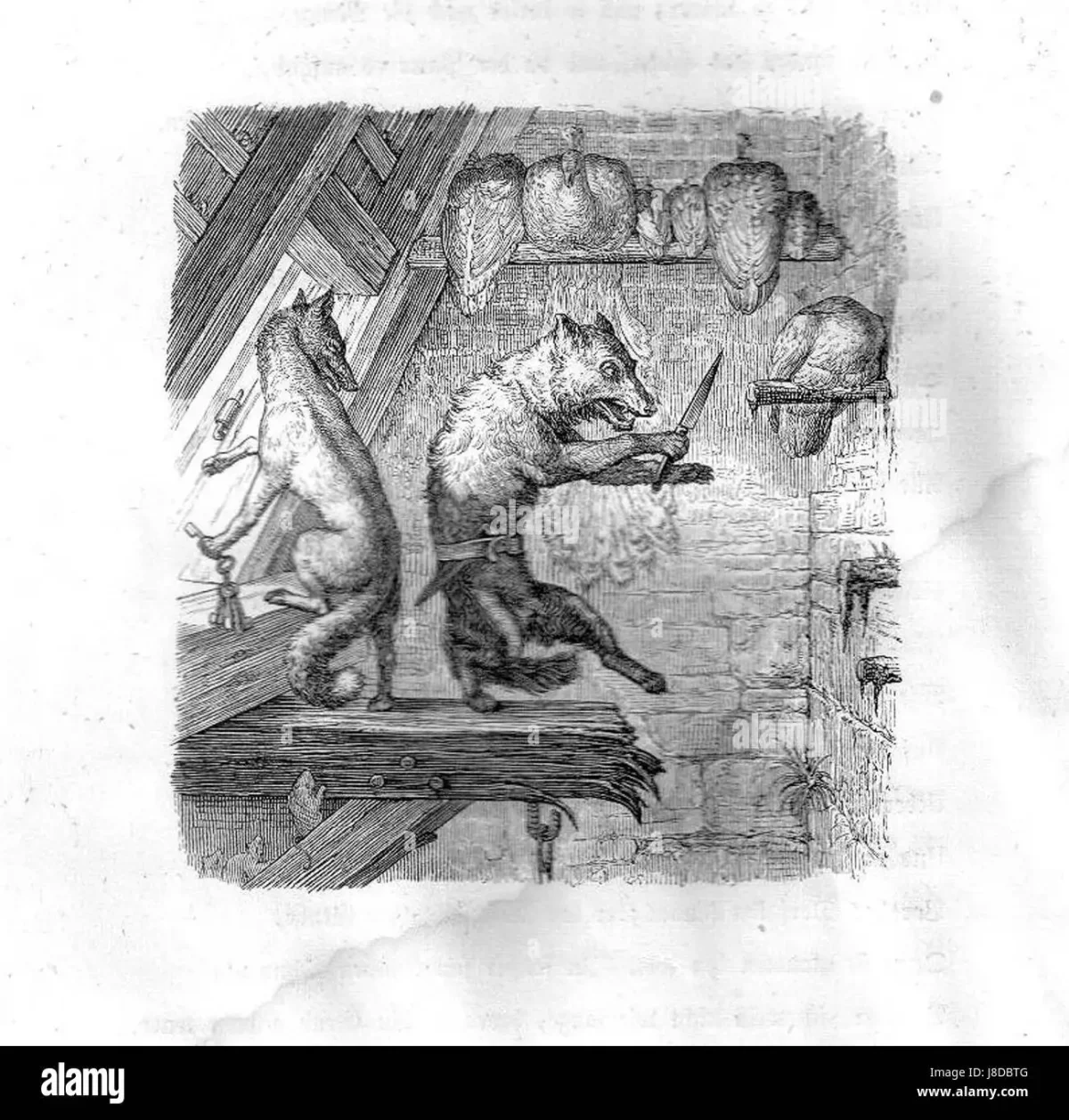 Reynard the Fox 2005 Art