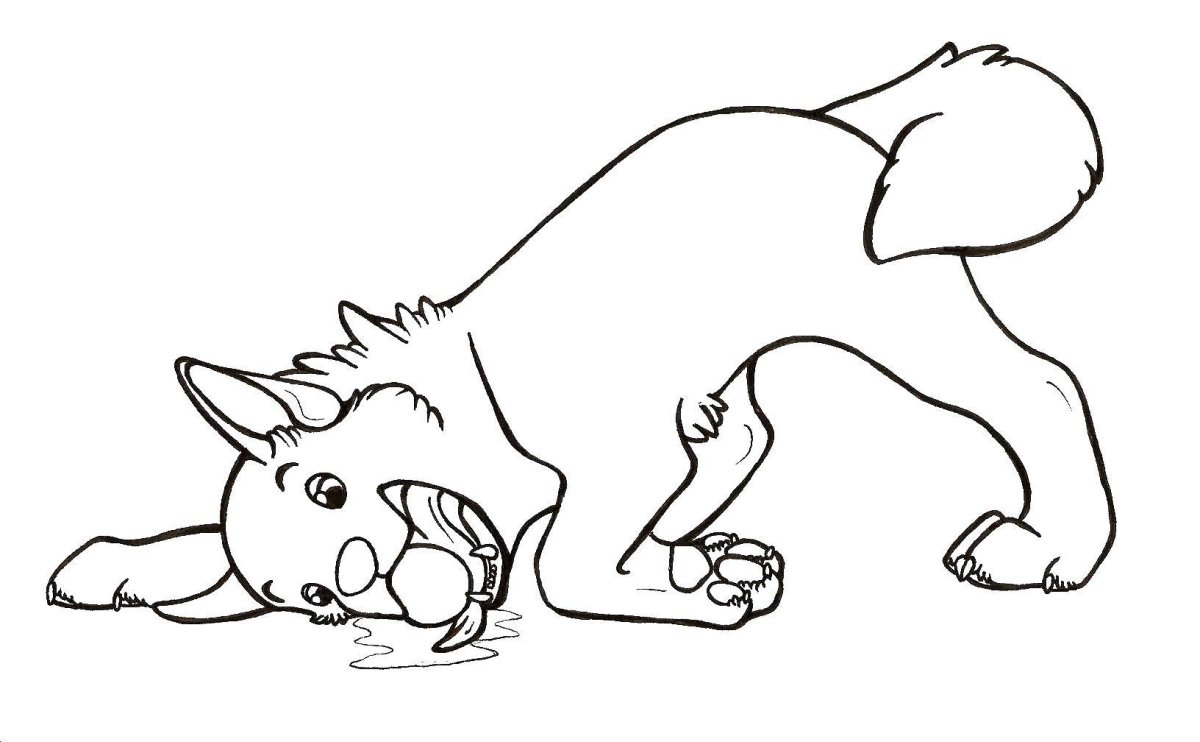 Щенок с мячиком раскраска