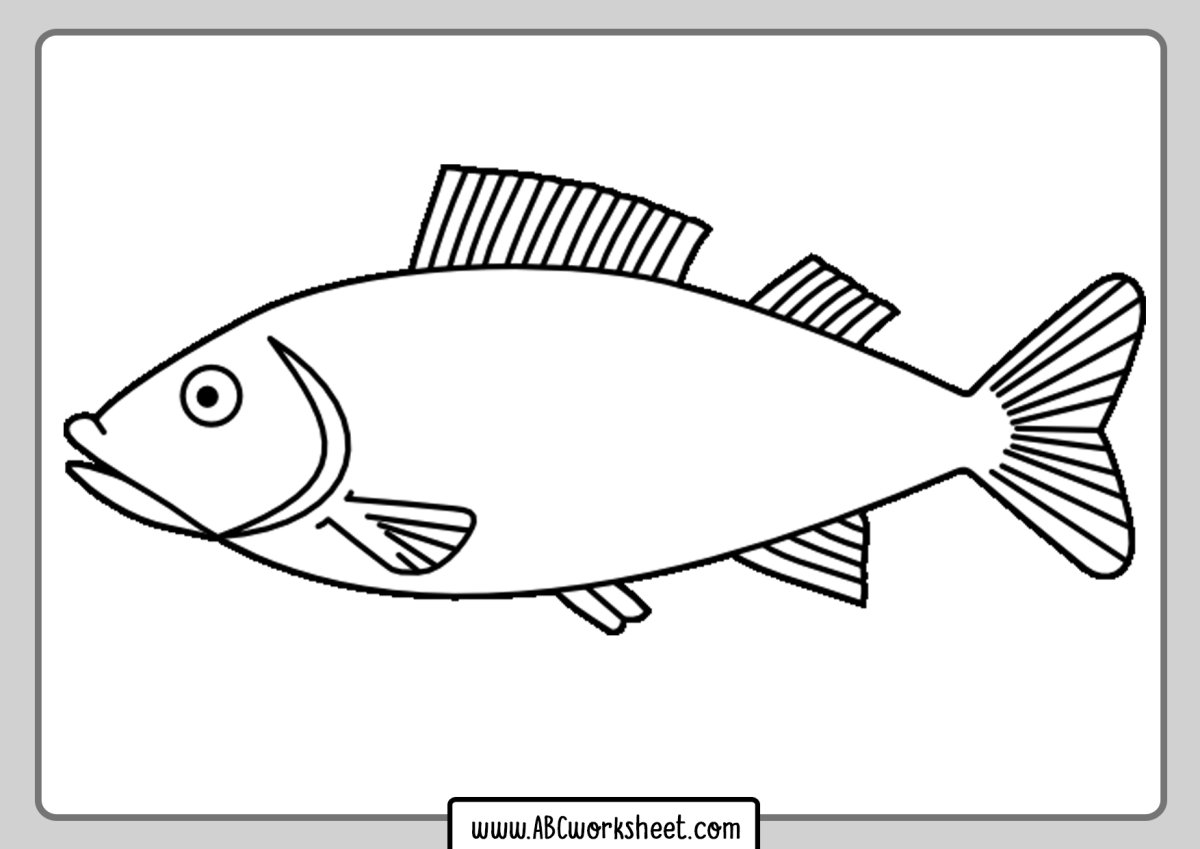 Рыба Карп в векторе