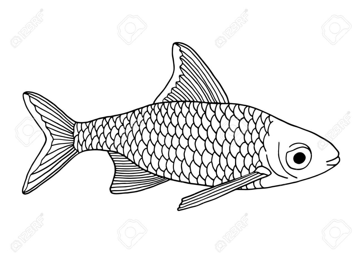 Рыба силуэт карась