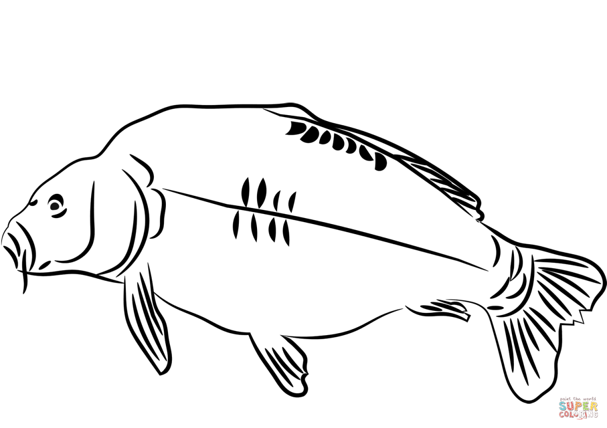 Контур рыбы для раскраски