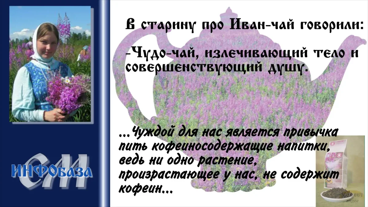 Цветы ручкой в тетради