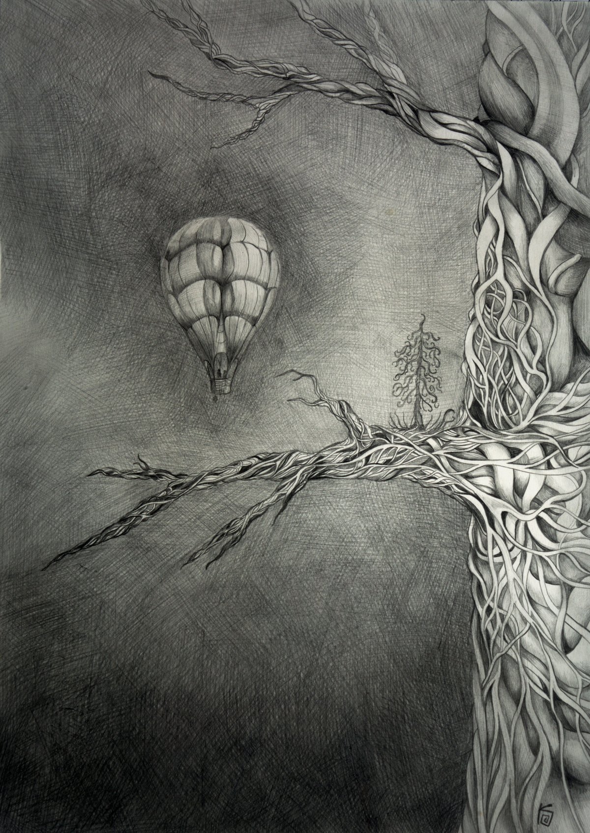 Рисунок Крини