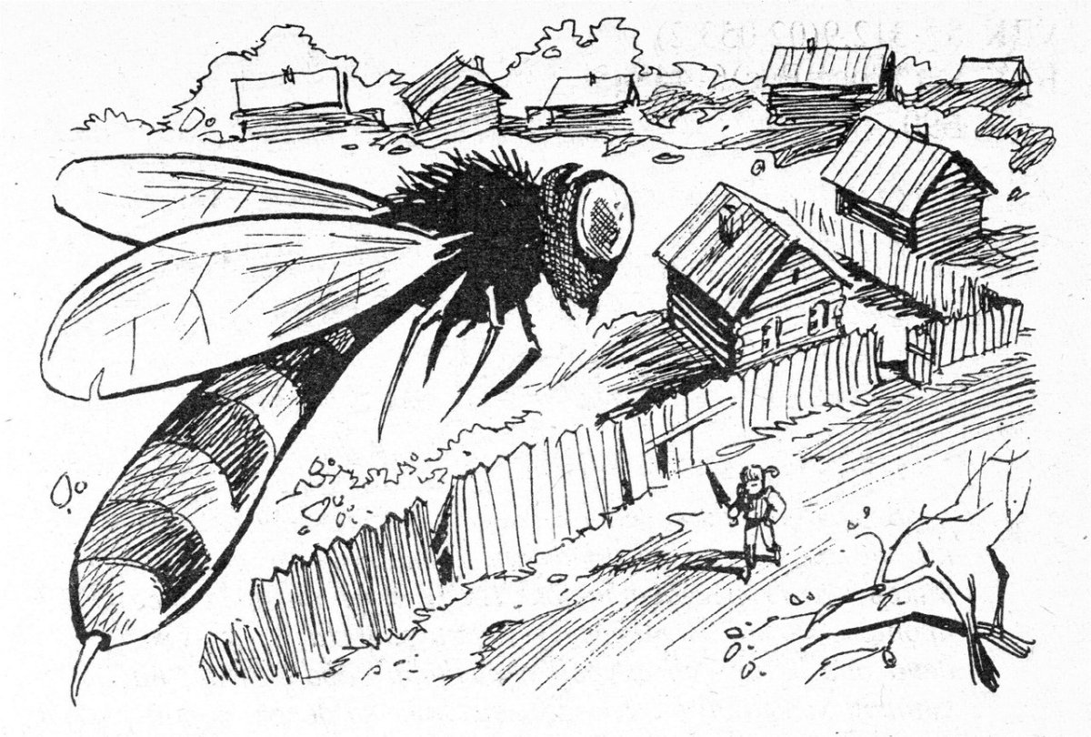 Булычев наездники