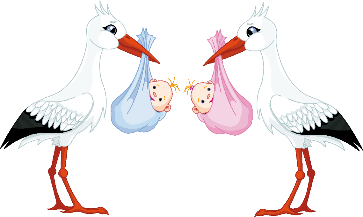 Доктор Аист