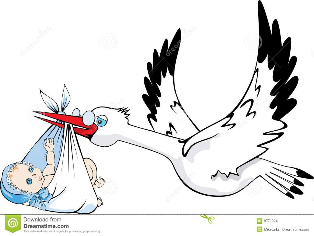 Магазин Аистёнок Гусев