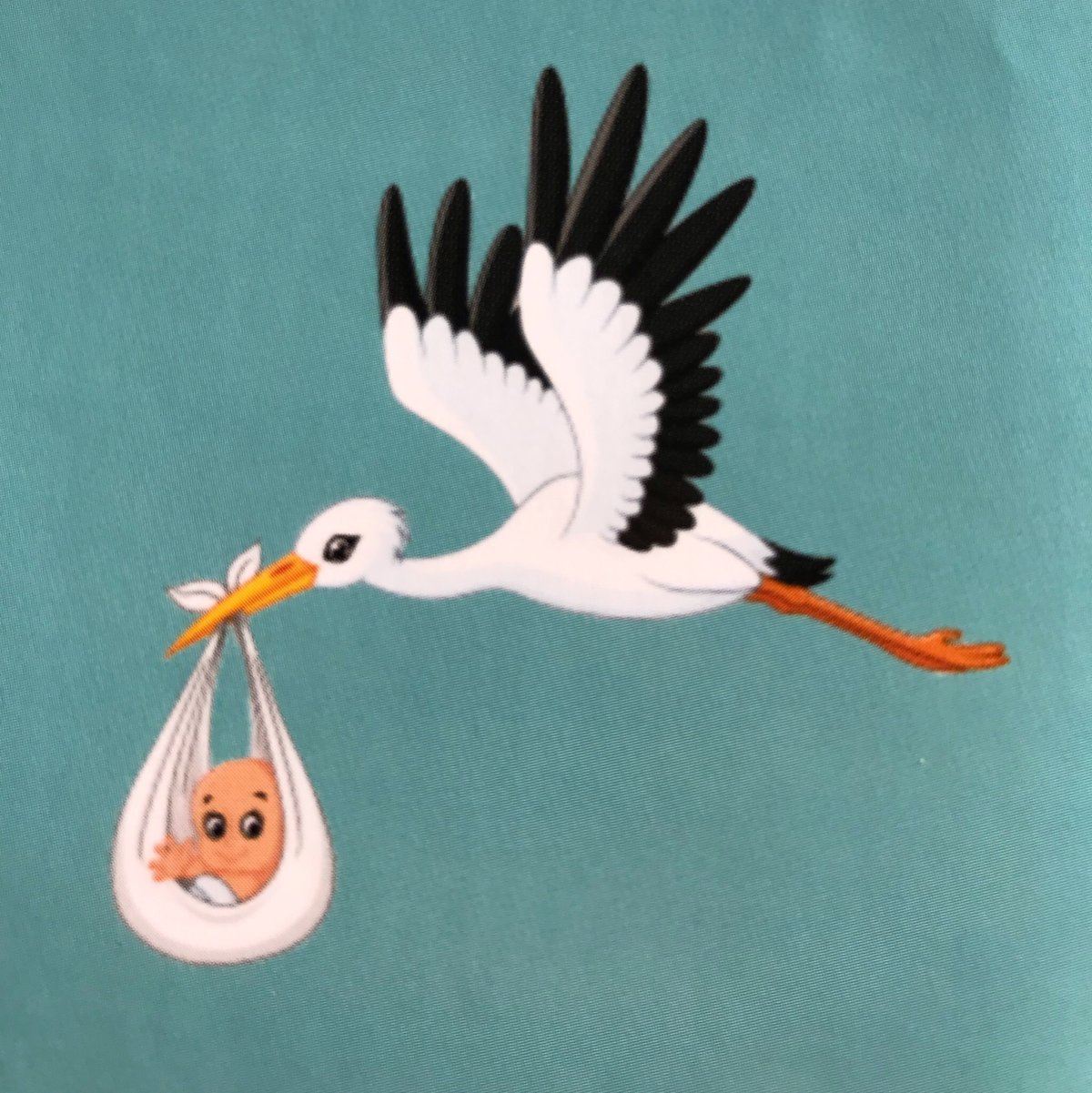 Аист раскраска