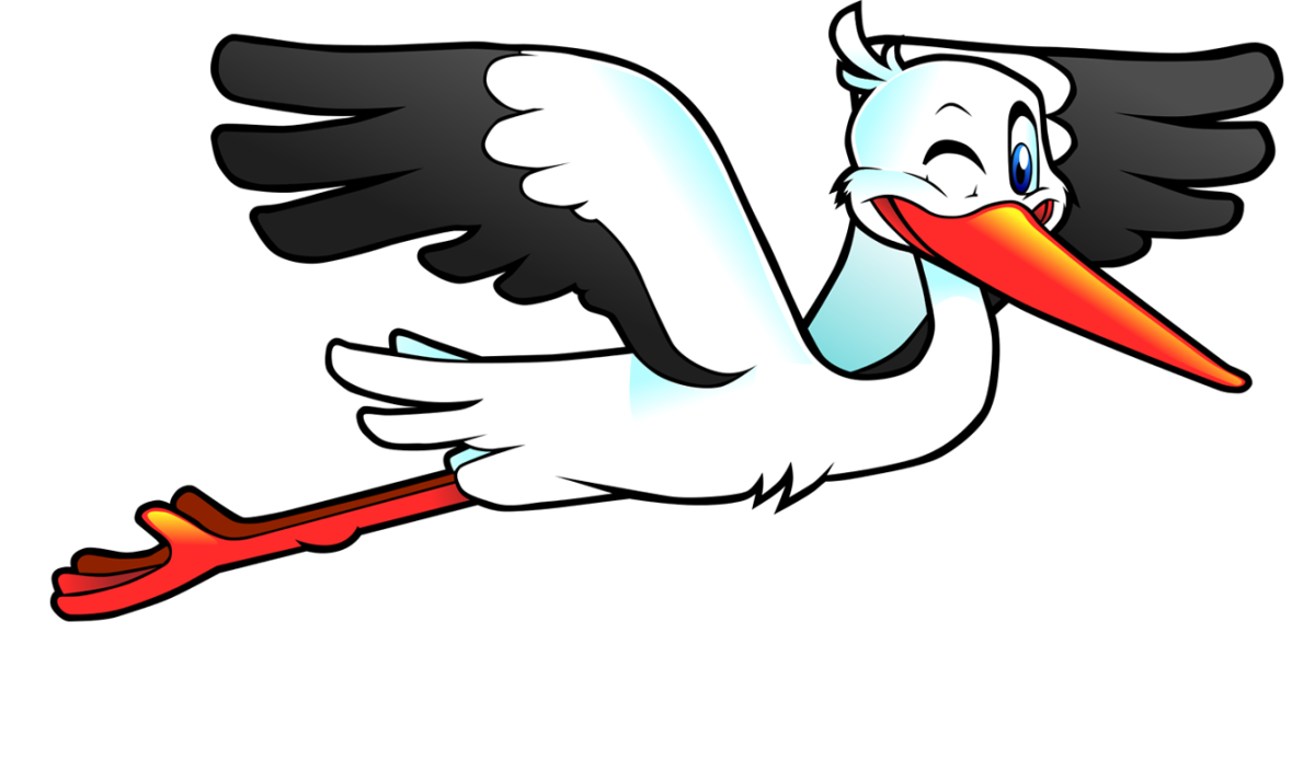 Рисунки аиста для срисовки