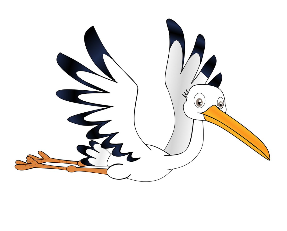 Калиф Аист раскраска