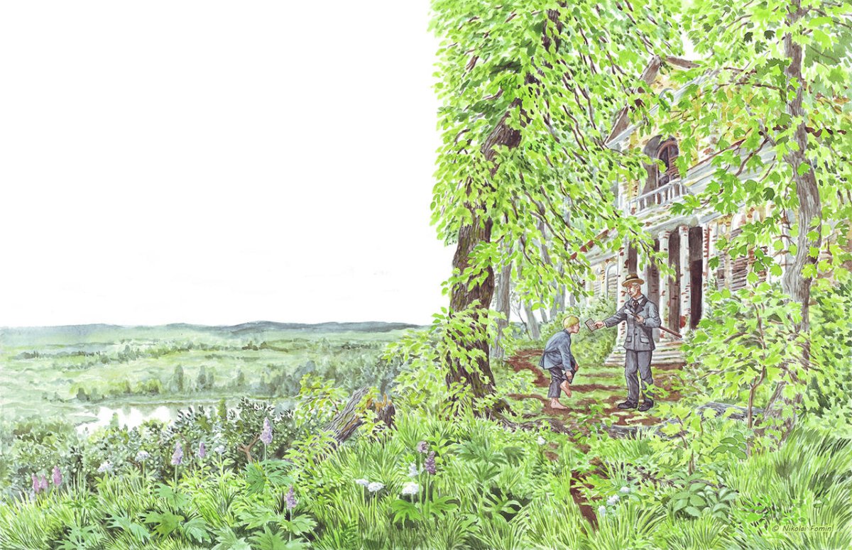 Николай Фомин иллюстрации