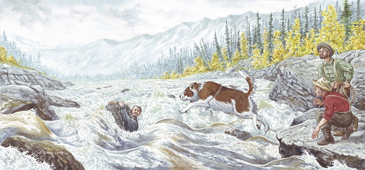 Николай Фомин ольха