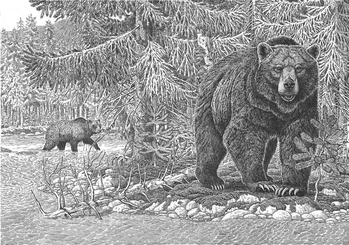 Николай Фомин славяне