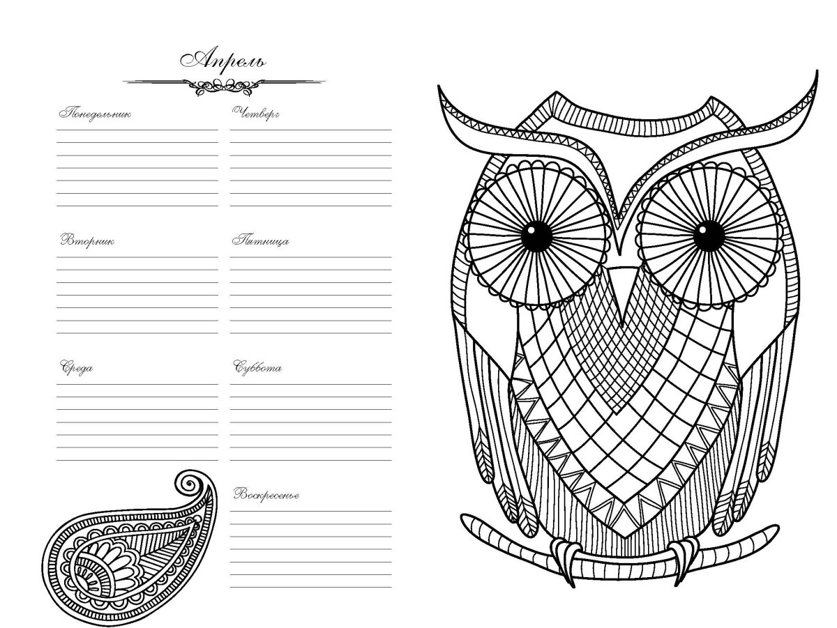 Раскраска тетрадь