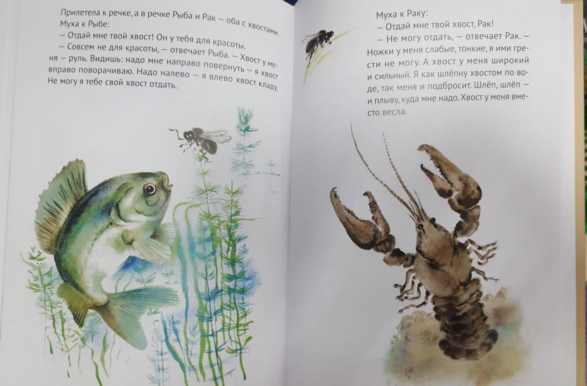 Иллюстрация к рассказу хвосты Бианки